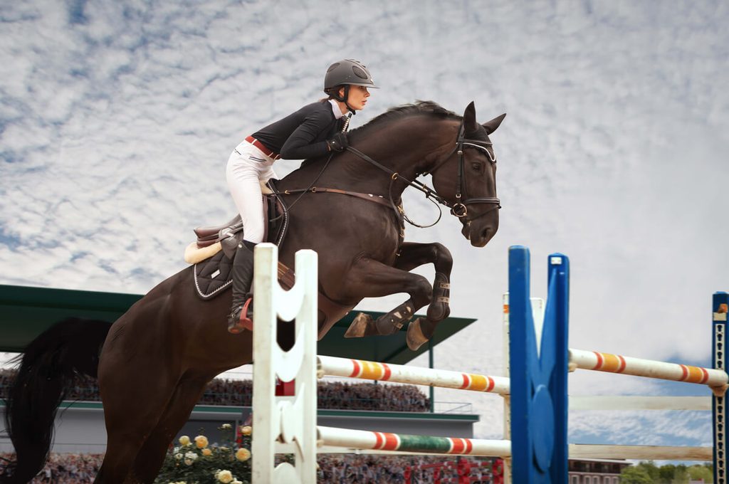 Galop d'essai : définition et origine de l'expression 3 Cheval de course au galop sur la piste lors d'une séance d'entraînement matinale avec son jockey.